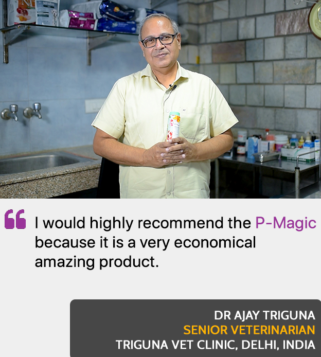 Dr Ajay Triguna